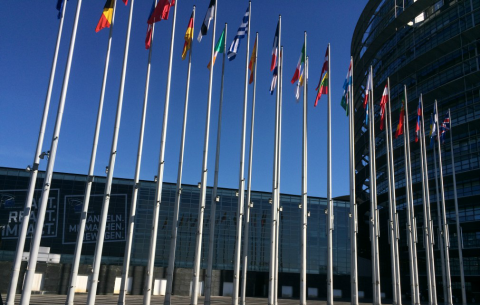 Europees-Parlement-Straatsburg-foto-1010x758